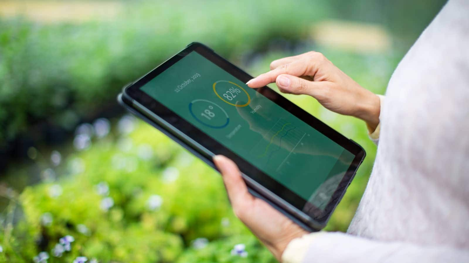 Gardener using digital tablet for information about new plants