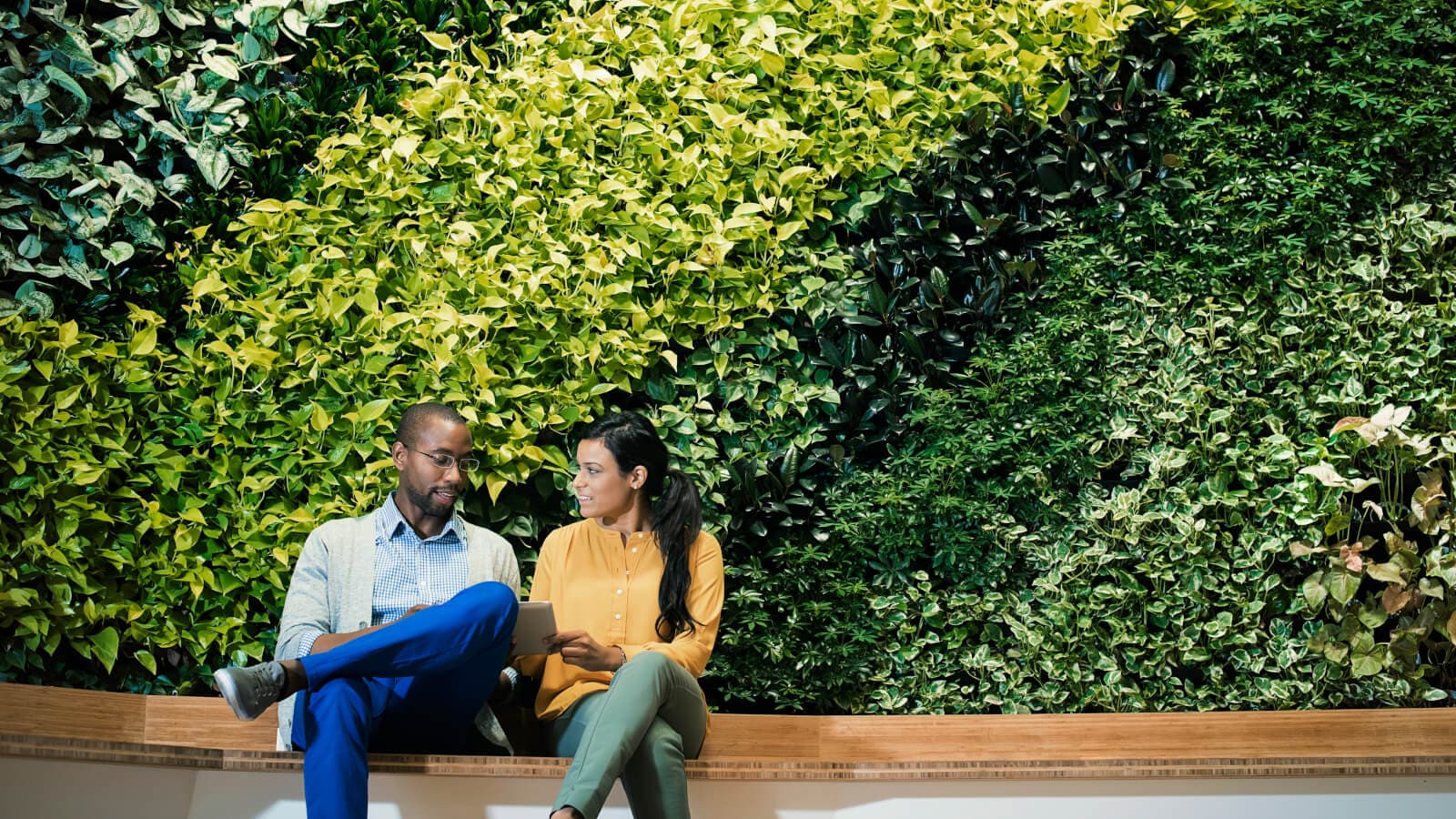 Colleagues sitting in front of green plant wall, using digital tablet