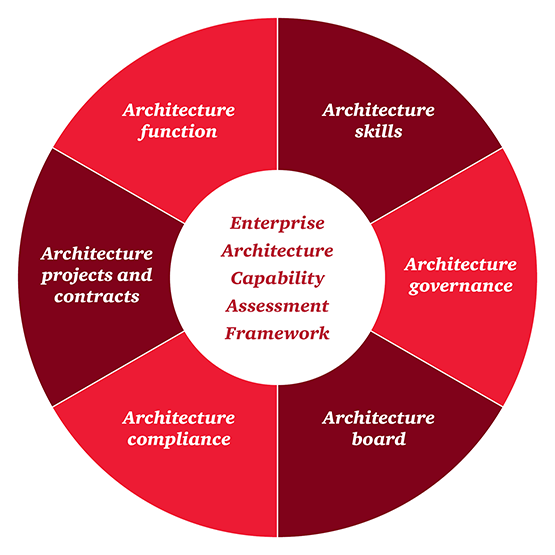 What does an enterprise architecture function do?