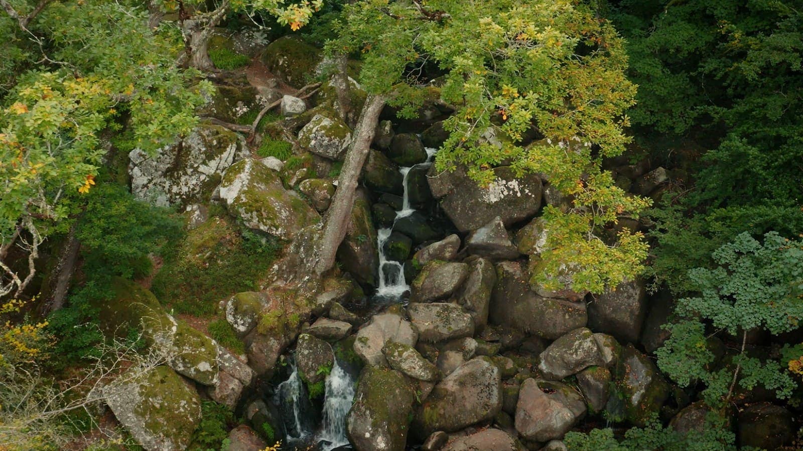 waterfall in forest